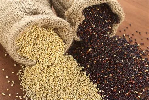  Quinoa - Ein wahres Superfood für nachhaltige Lebensmittelproduktion!