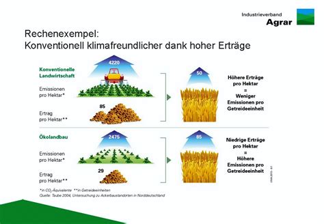 Mogul: Der Vielseitige Rohstoff für Moderne Verbundwerkstoffe und Nachhaltige Landwirtschaft!